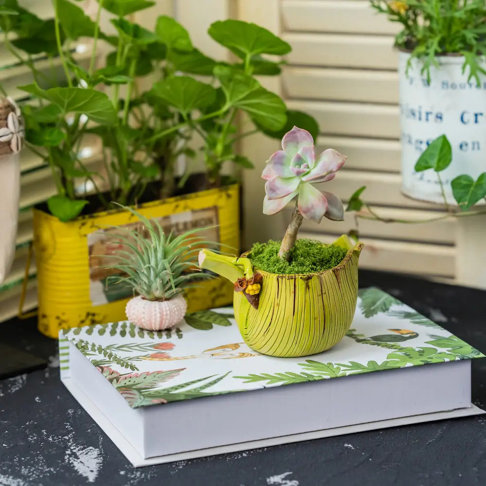 pot de fleur jaune compact pour intérieur