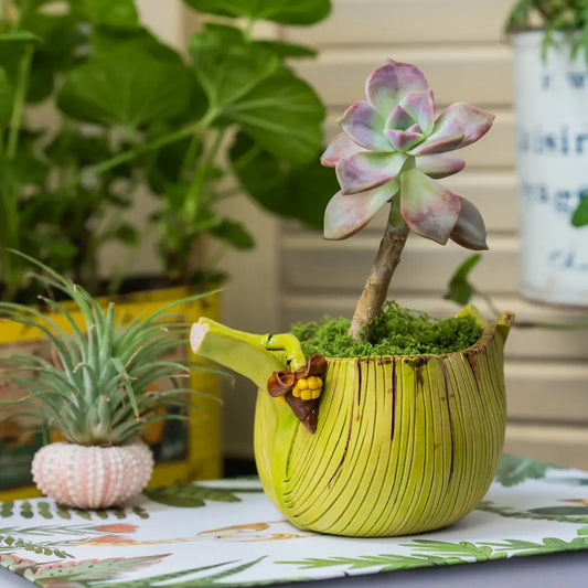Pot de fleur jaune – Jardinière feuille de bananier artisanale en céramique avec plante succulente.