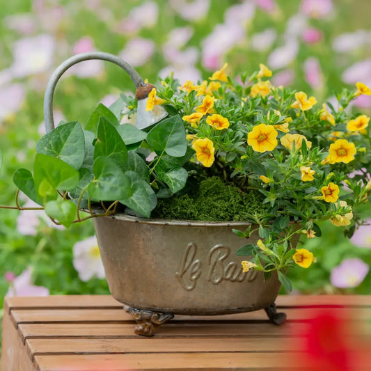 Pot de fleur pour intérieur avec structure patinée et pied décoratif, accueillant lierre et fleurs jaunes.