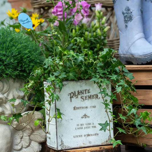 Pot de fleurs blanc vintage en métal patiné