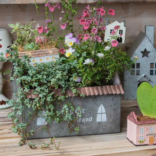 jardinière maison miniature déco pot de fleurs intérieur