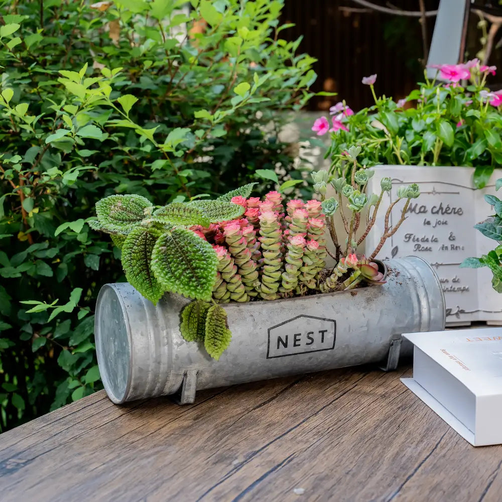 Pot de fleurs moderne en métal tubulaire design NEST avec plantes vertes et fleuries sur une table en bois.