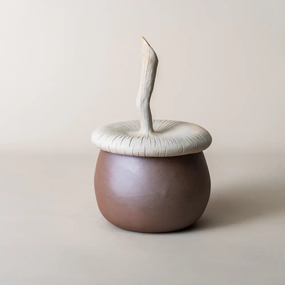 Boîte de rangement artisanale en céramique, design noisette