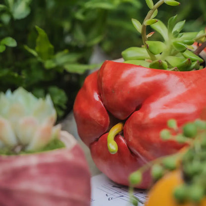pot de fleur céramique oignon courge avocat wax apple