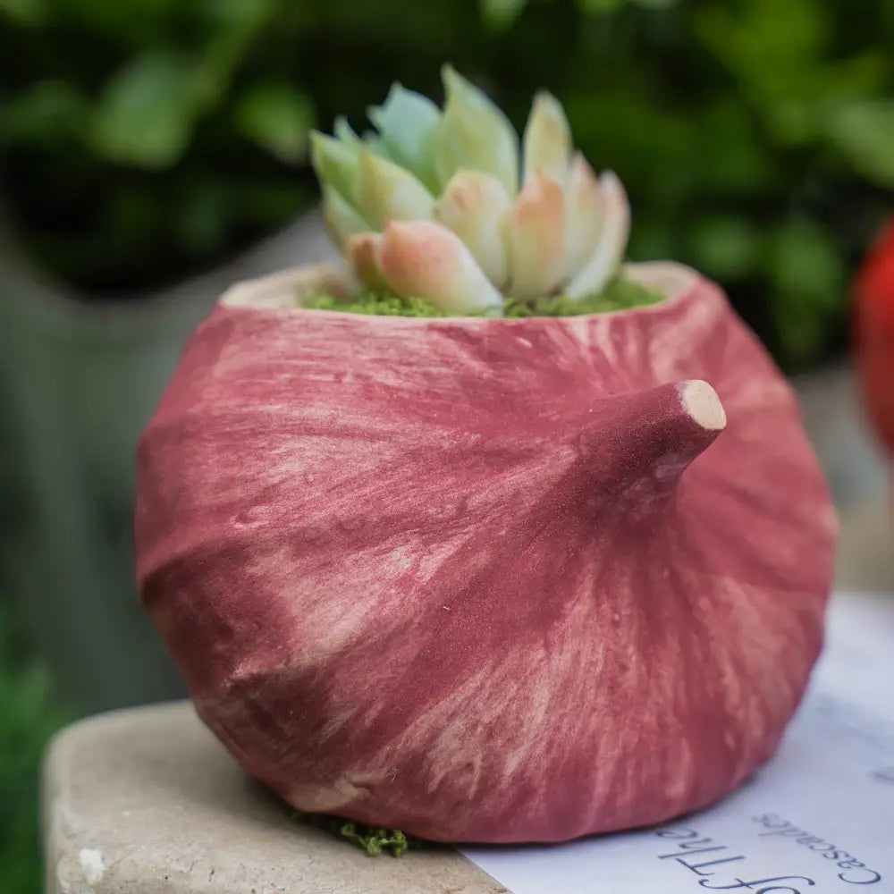 Pot de fleur en céramique avec une plante succulente, miniature de la collection Fruits & Légumes.