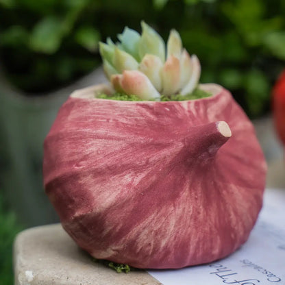 Pot de fleur en céramique avec une plante succulente, miniature de la collection Fruits & Légumes.