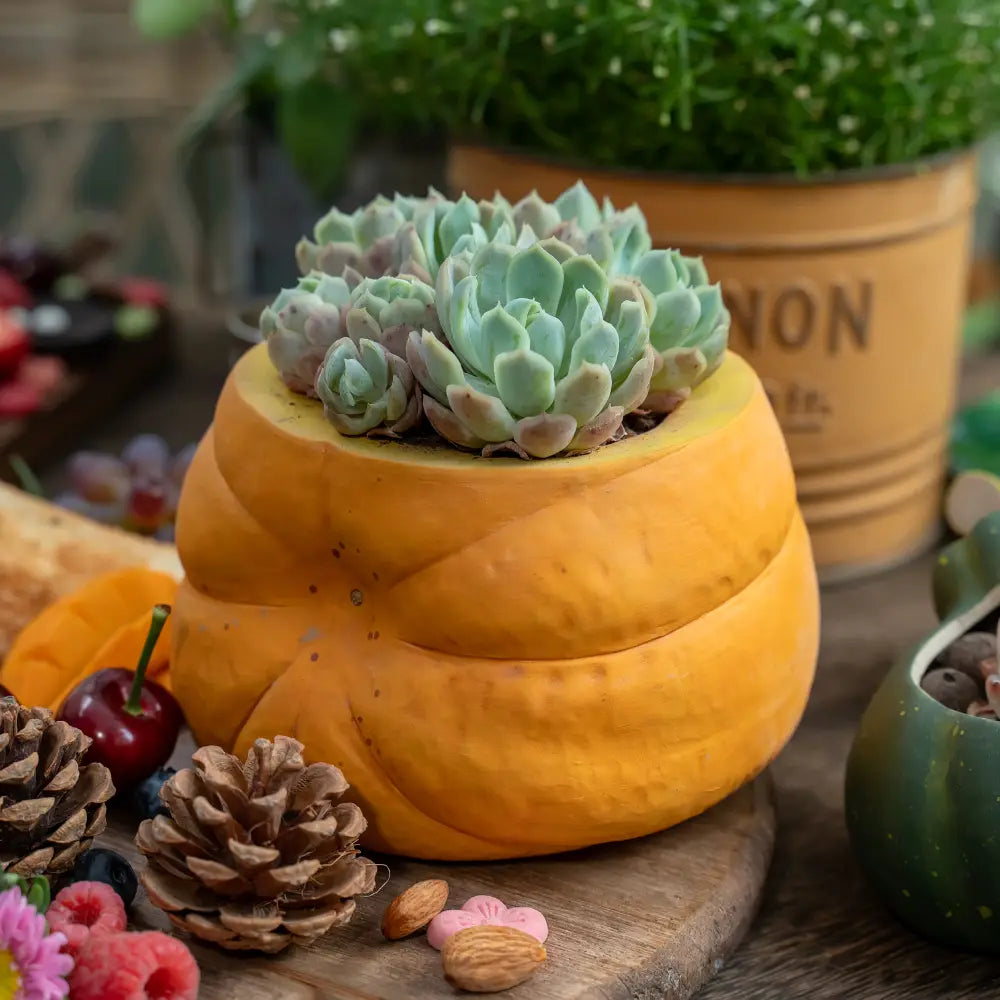 Pot de fleur céramique artisanal citrouille émaillée