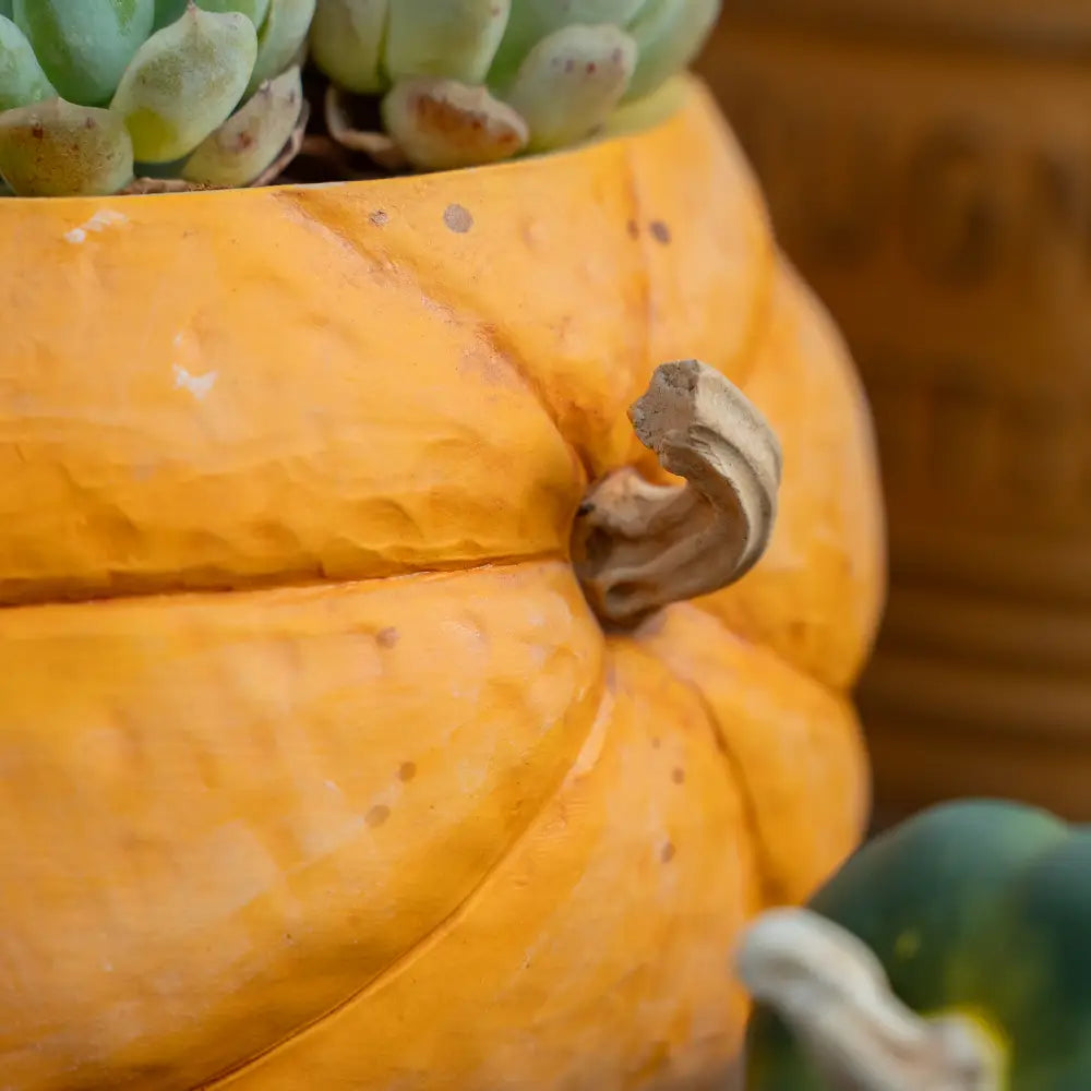 Pot de fleur céramique citrouille pour balcon et jardin
