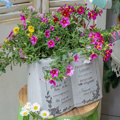 Pot de fleur décoratif résine blanc pour succulentes