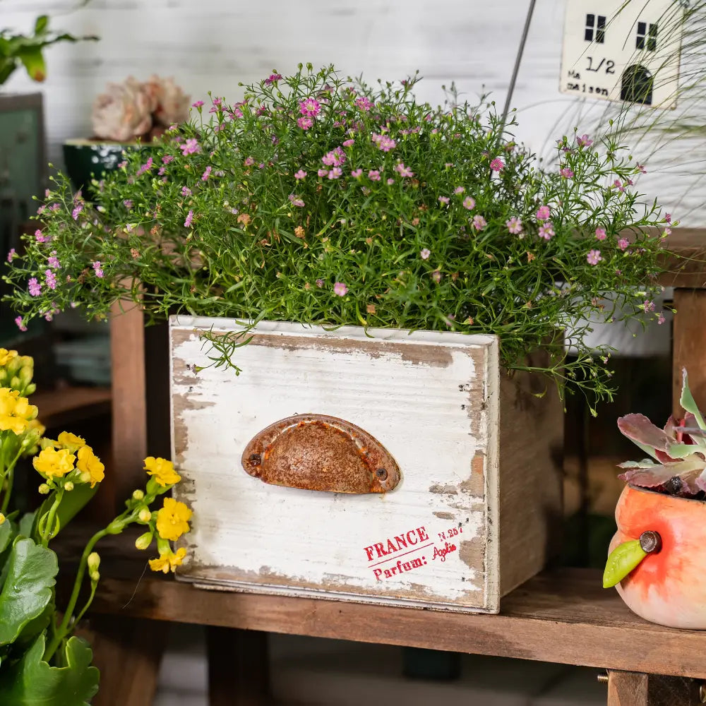 Pot de fleur en bois avec fleurs roses dans une jardinière rectangulaire vintage pour intérieur.