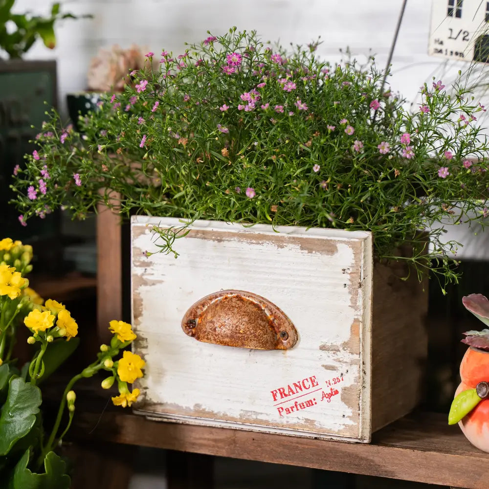 Pot de fleur en bois avec fleurs colorées dans une jardinière rectangulaire vintage pour intérieur.