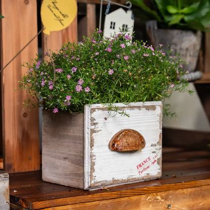 Pot de fleur en bois avec fleurs violettes dans une jardinière rectangulaire vintage pour intérieur.