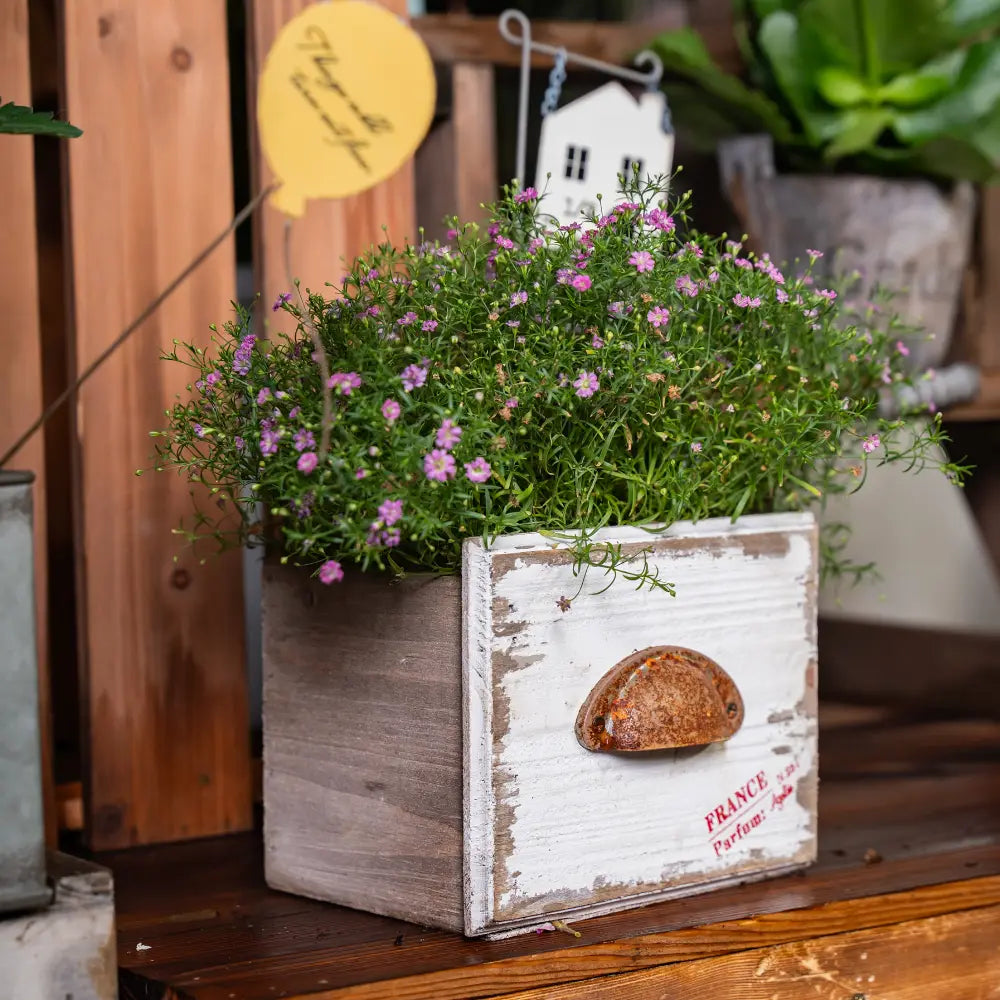 Pot de fleur en bois avec des fleurs violettes dans une jardinière rectangulaire vintage sur une étagère en bois.