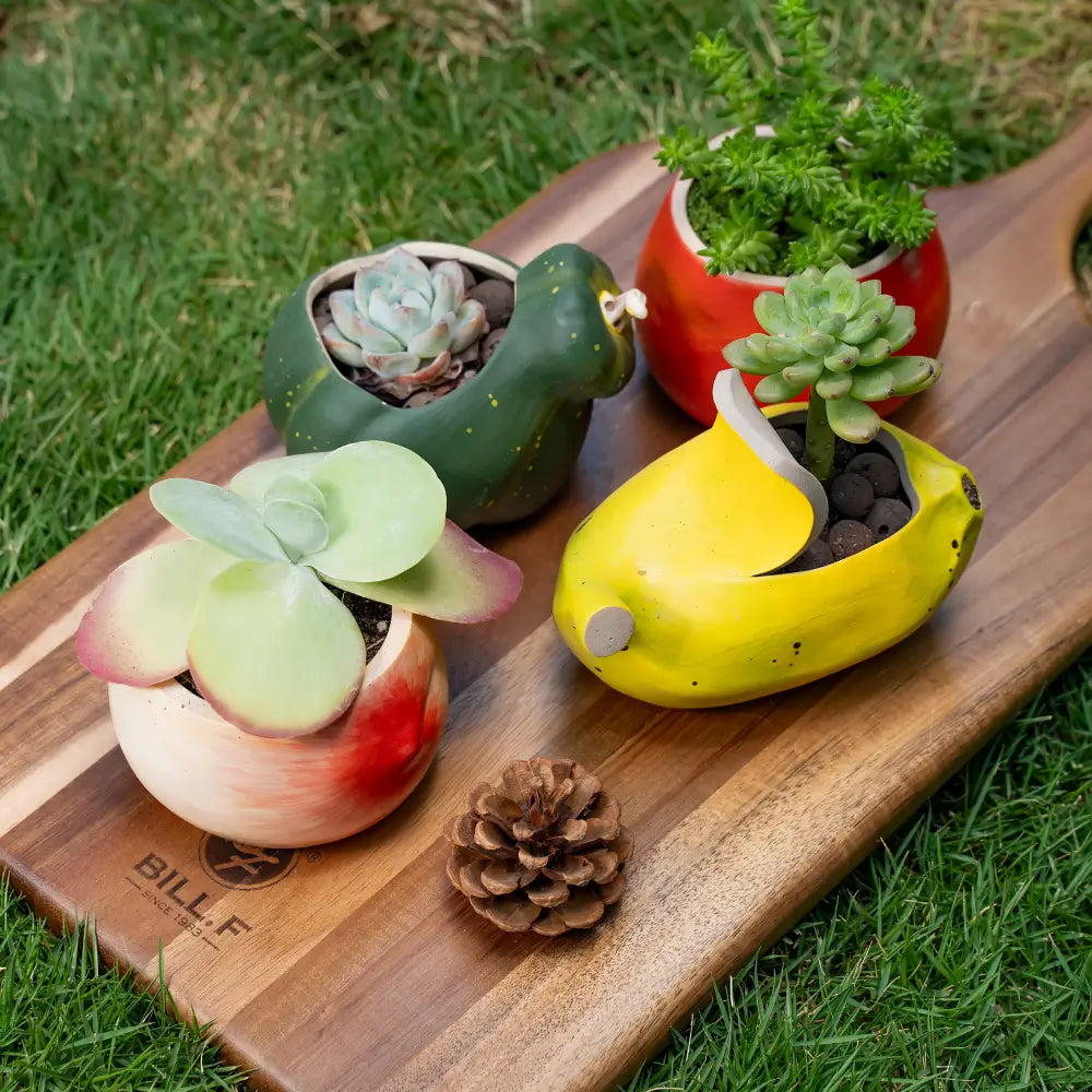 Pot de fleur en céramique moderne, finition émaillée brillante, idéal pour plantes vertes et fleurs.