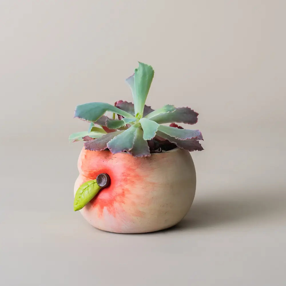 Pots de fleur en céramique décoratifs courge et pomme