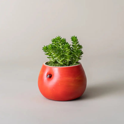 Ensemble de 4 pots de fleur en céramique artisanaux