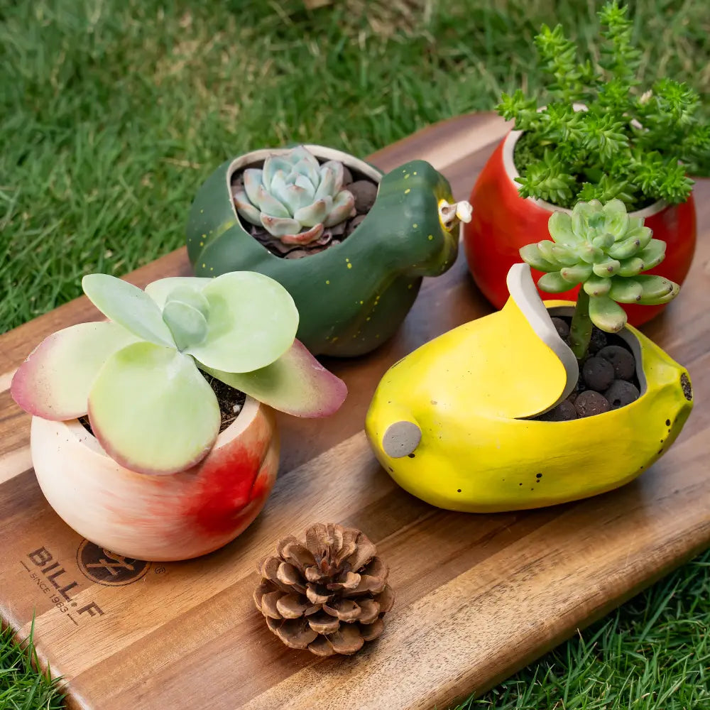 Pots de fleur en céramique miniatures pêche et banane