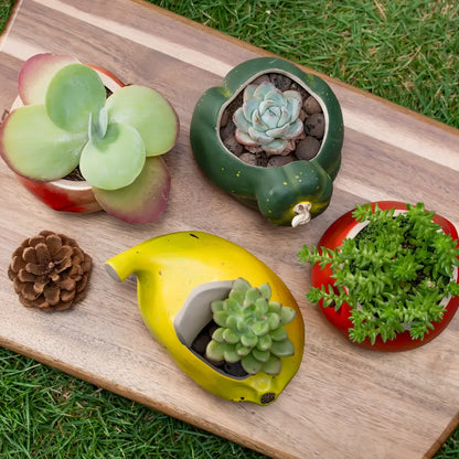 Pots de fleur en céramique miniatures pour succulentes