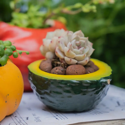 Pot de fleur en céramique avec une plante succulente et des pierres dans un pot coloré de la collection Fruits & Légumes.