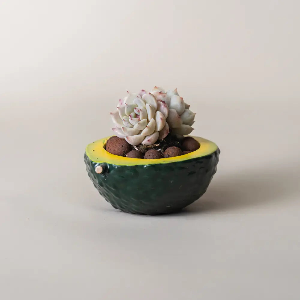 Pot de fleur en céramique artisanal motifs géométriques colorés, idéal pour salon ou bureau.