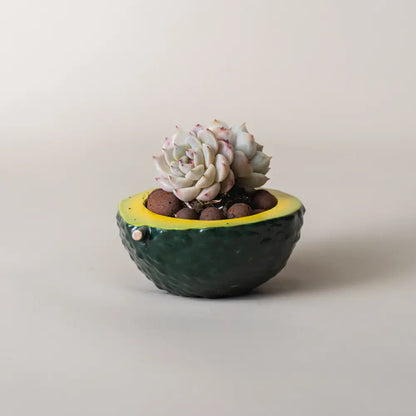 Pot de fleur en céramique artisanal motifs géométriques colorés, idéal pour salon ou bureau.