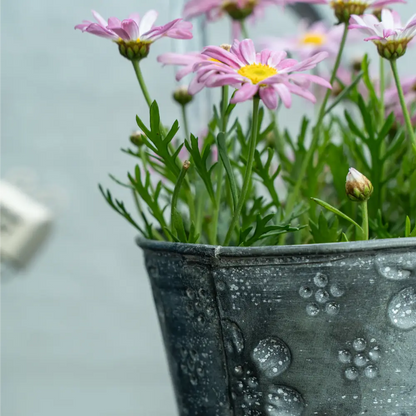 Pot de fleur en suspension avec fleurs pink dans un panier en métal vieilli, décoratif et élégant.