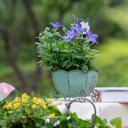 Pot de fleur intérieur en métal patiné élégant