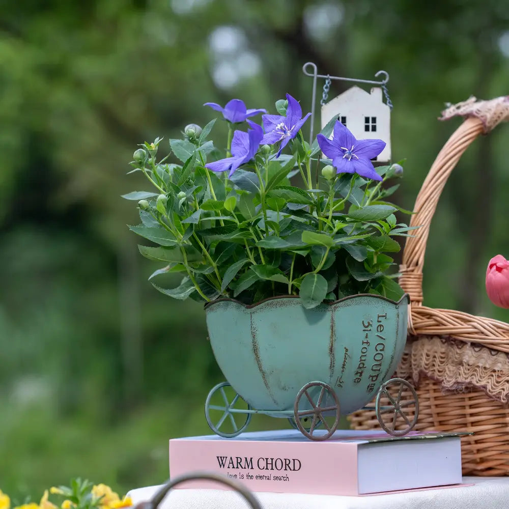 Pot de fleur intérieur en métal vieilli, design original façon carrosse citrouille pour une décoration unique.