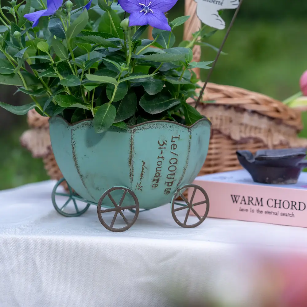 Élégant pot de fleur intérieur moderne, parfait pour accueillir plantes vertes et fleurs séchées dans le salon.