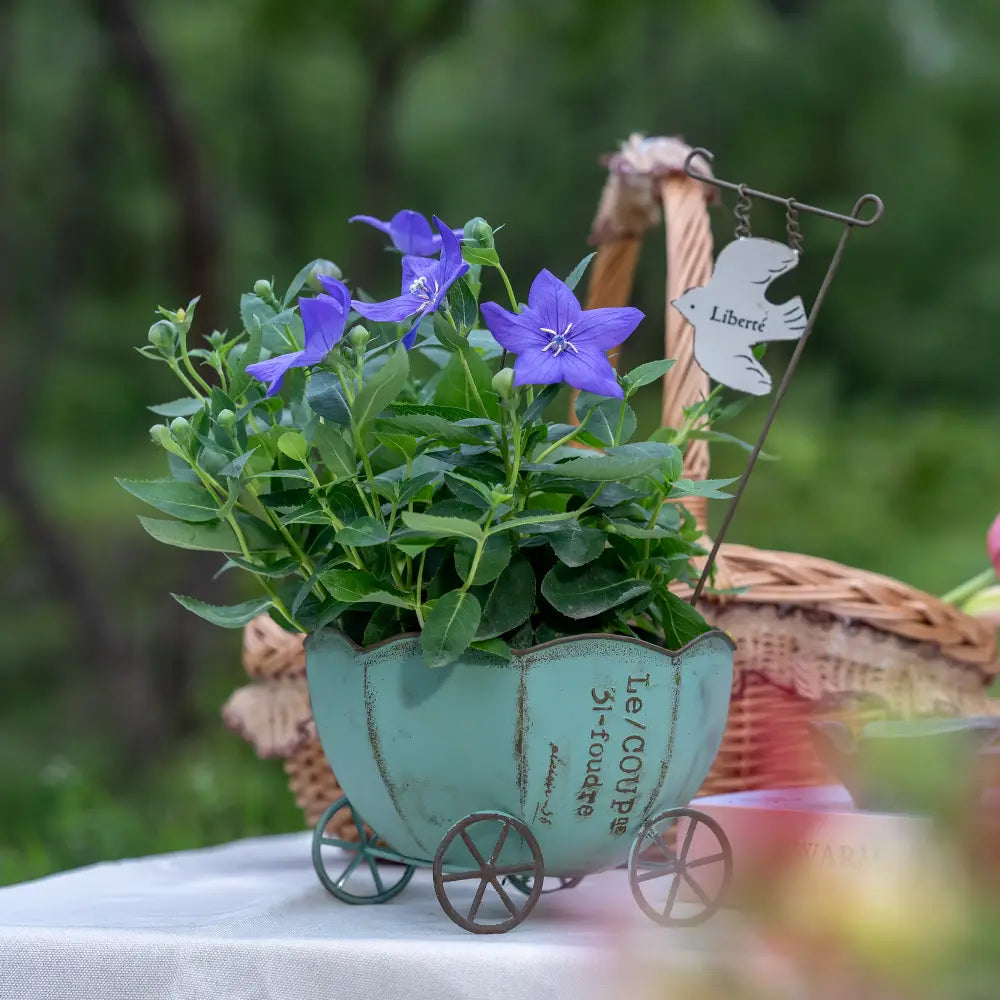 Pot de fleur intérieur décoratif, style contemporain avec finition artisanale, idéal pour chambre ou bureau.