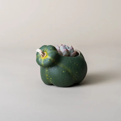 Pot de fleur intérieur en forme de potiron vert avec une plante succulente à l'intérieur.