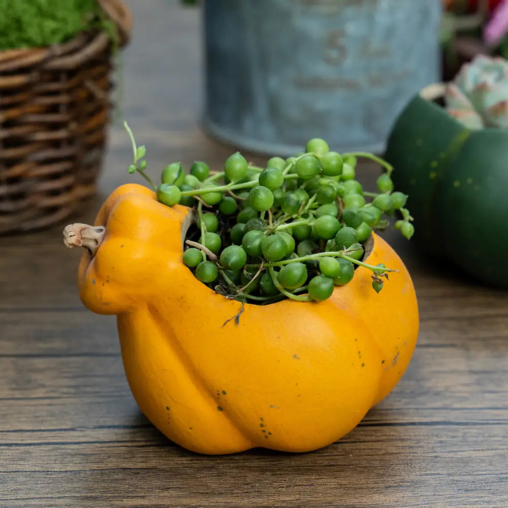 Pot de fleur intérieur coloré artisanal, parfait pour apporter une touche naturelle et esthétique.