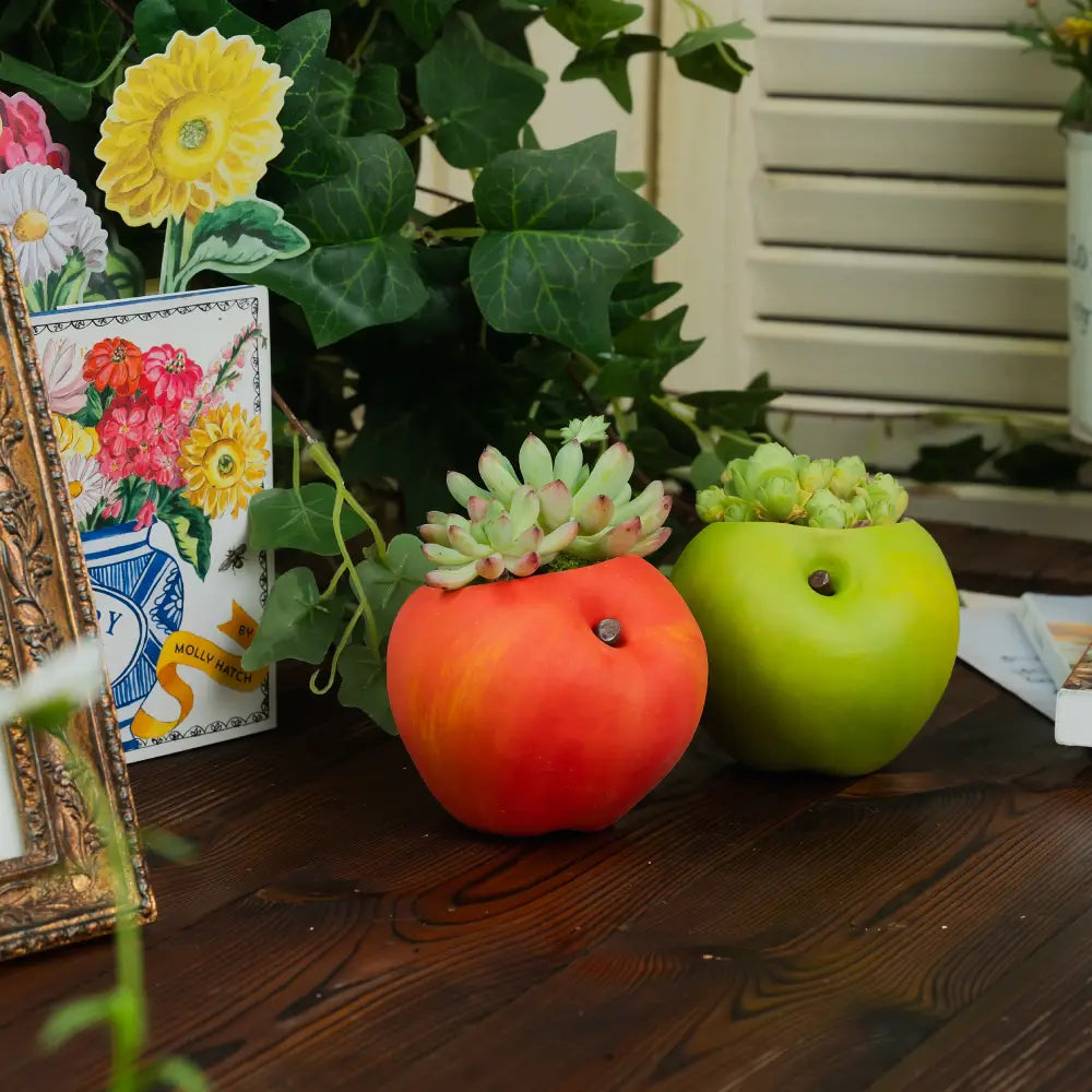Pot de fleur intérieur avec des succulentes en forme de pommes rouge et verte sur une table en bois.