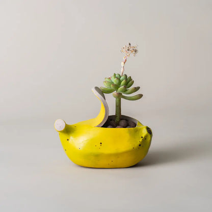 Pot de fleur intérieur décoratif, parfait pour une utilisation en maison, bureau ou terrasse couverte.