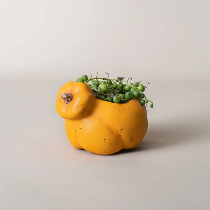 Pot de fleur intérieur en céramique artisanale, idéal pour succulentes et petites plantes vertes.