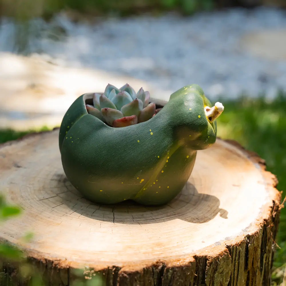 Pot de fleur intérieur en céramique fait main, conçu pour plantes d’intérieur et décoration élégante.