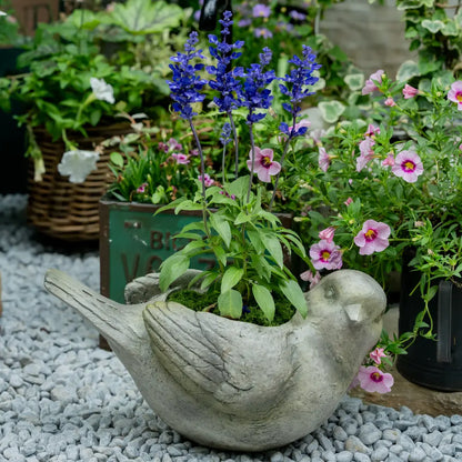 Pot de fleur intérieur – Jardinière oiseau en oxyde de magnésium avec fleurs bleues et roses.