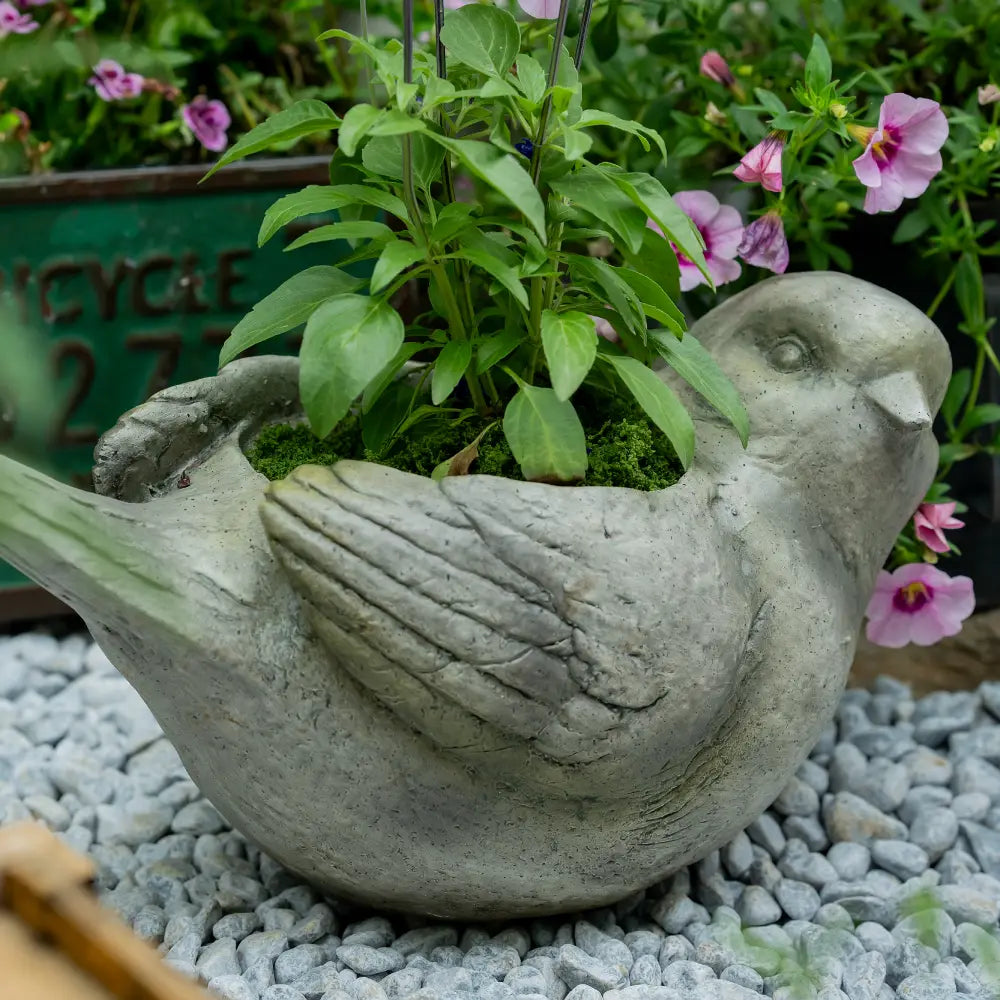 Pot de fleur intérieur – Jardinière oiseau en oxyde de magnésium avec plantes et fleurs.