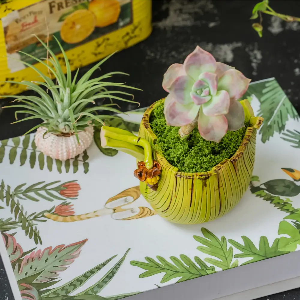 Pot de fleur jaune – Jardinière feuille de bananier artisanale en céramique avec plante succulente.