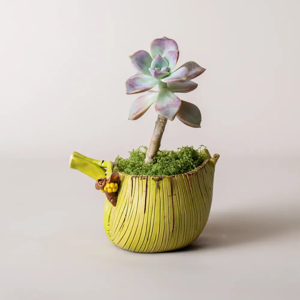 pot de fleur jaune en céramique artisanale