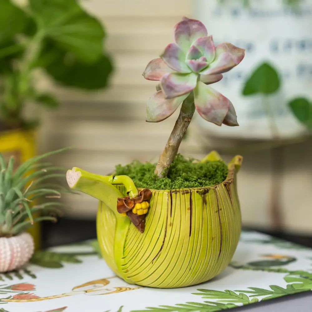 Pot de fleur jaune – Jardinière feuille de bananier artisanale en céramique avec succulente.