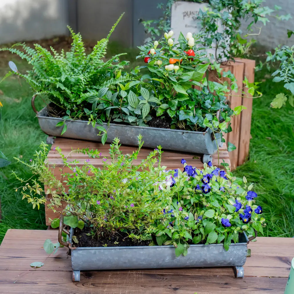 Jardinière rectangulaire rétro – pot de fleur long décoratif