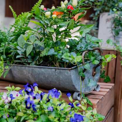 Pot de fleur long pour balcon avec trous de drainage