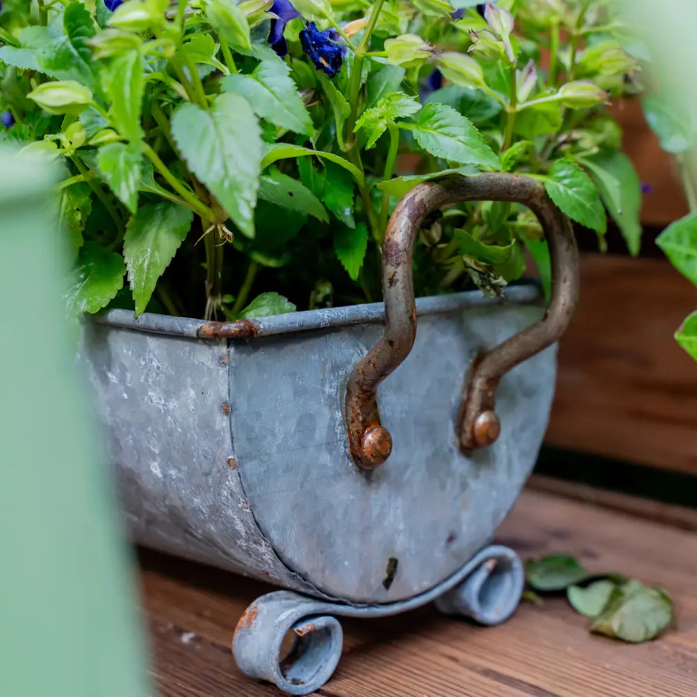 Pot de fleur long en métal argenté pour fleurs colorées
