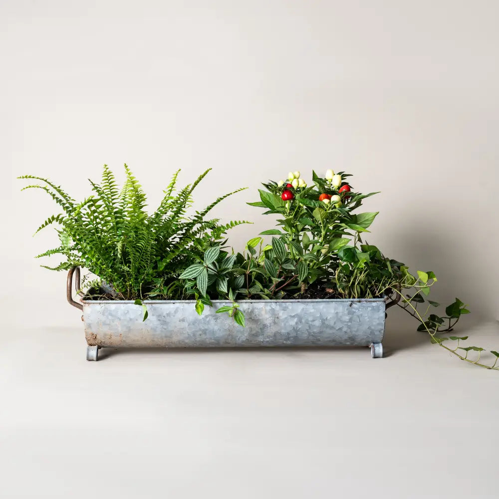 Pot de fleur long rectangulaire en métal vieilli argenté