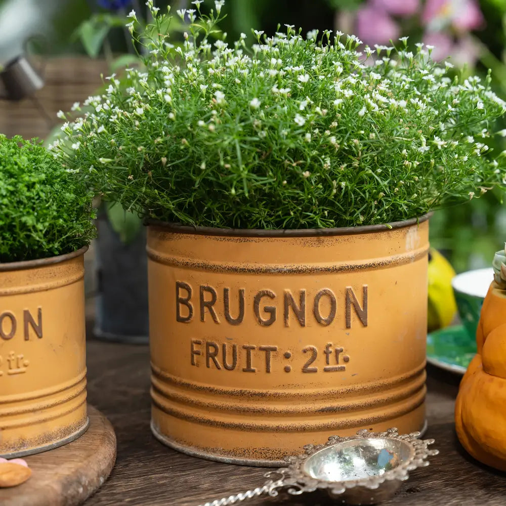 Petit pot de fleur jaune en métal avec couvercle décoratif, idéal pour plantes vertes ou fleurs sauvages.