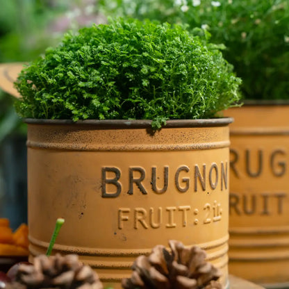 Duo de petit pot de fleur jaune vieilli, parfait pour une déco champêtre pleine de chaleur et d’authenticité.