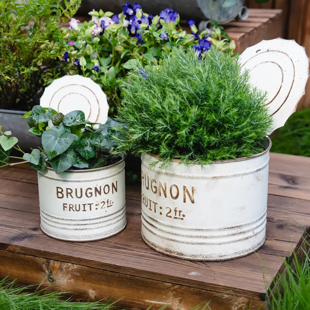 Duo de petit pot de fleur blanc effet rouillé, parfait pour vos plantes aromatiques ou compositions florales intérieures.