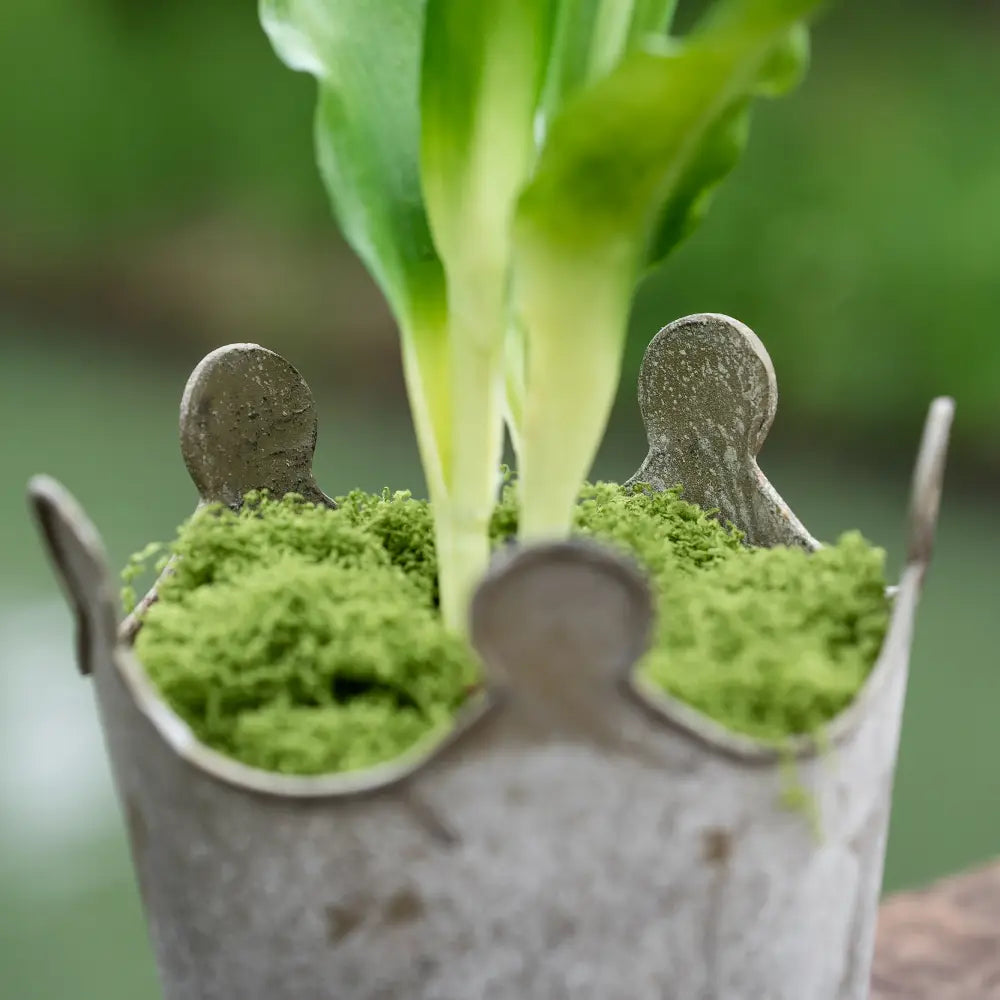 Jardinière pot de fleur petit décoratif pour salon