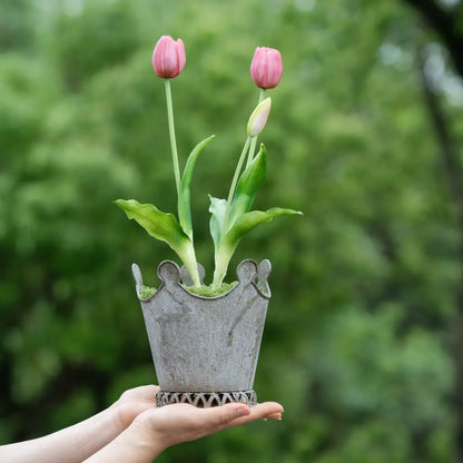 Pot de fleur petit vintage idéal pour succulentes